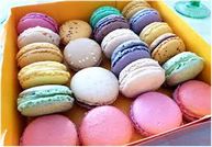 macaron