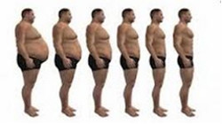 graisses perdues lors d'un régime